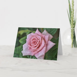 Blockeringskort för Fullt för Blommigt för Rosa ro Kort