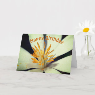 Blod Root Flower Center Birthday Kort