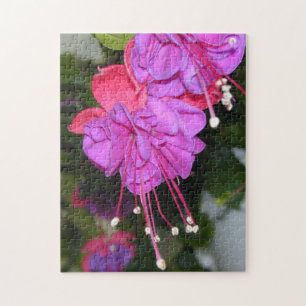 Blöda hjärtaFuschia pussel