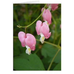 blöda hjärtahaiku hälsningskort