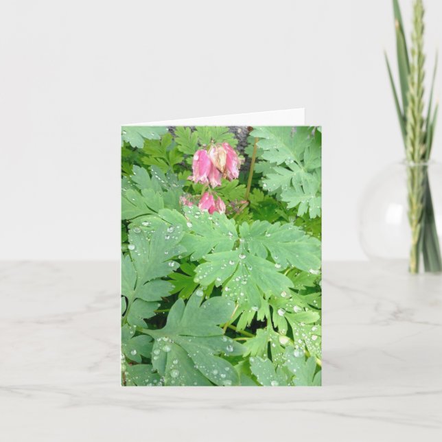 Blödande hjärta-buske helgkort (Framsida)