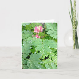 Blödande hjärta-buske helgkort