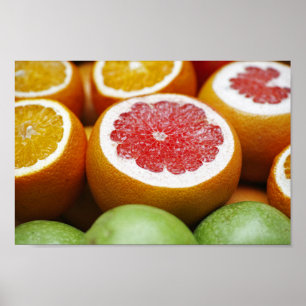 Blodapelsincitrusfruktaffisch Poster