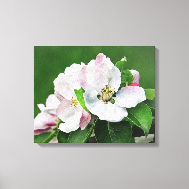 Blodbild av väggkonsten för Apple Träd Vår Canvastryck (Framsida)