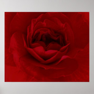 Blodblomma poster