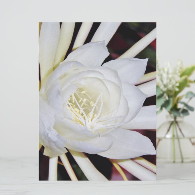 Blodblommor nattetid (Stående Fram)