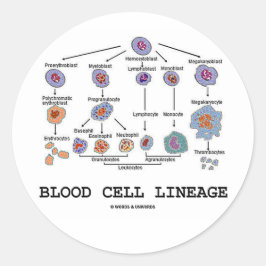 Blodet Cell Lineage (biologi Health Medicine) Runt Klistermärke