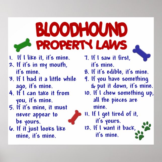 BLODHOUND PL2 POSTER (Framsidan)