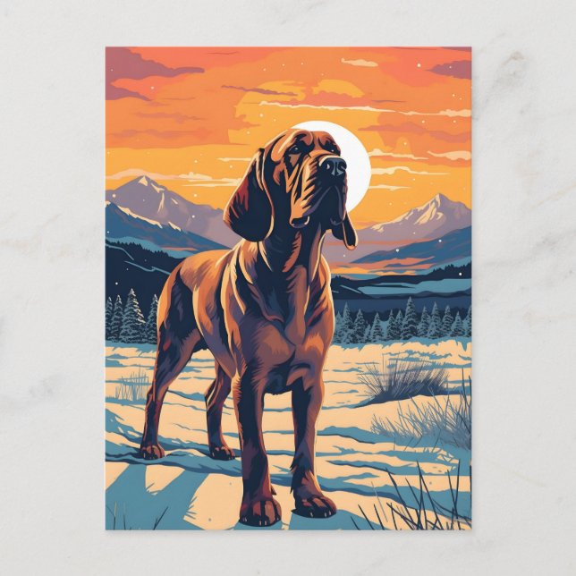 Blodhound vinterskog under solnedgång vykort (Framsida)