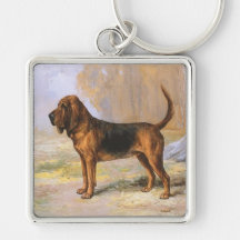Blodhund