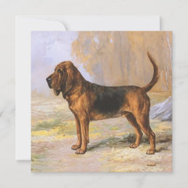 Blodhund Kort