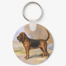 Blodhund