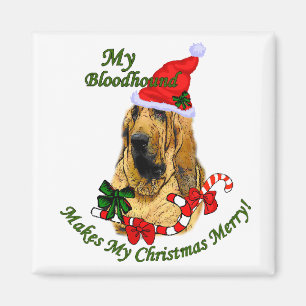 Blodjudets julklappar magnet