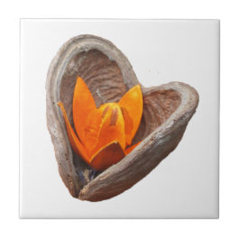 Blodkärl Kakelplatta