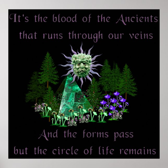 Blodkärl Poster (Framsidan)