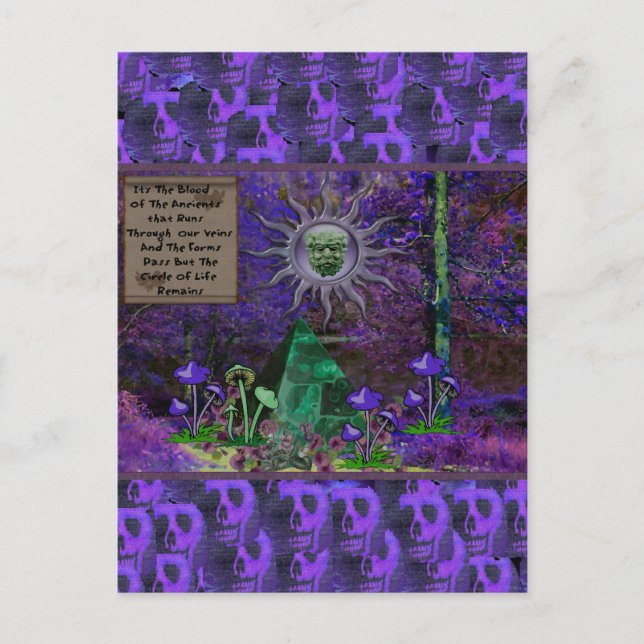 Blodkärl Vykort (Framsida)