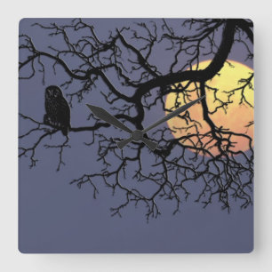 Blodmåne- och för nattuggla Silhouette Fyrkantig Klocka