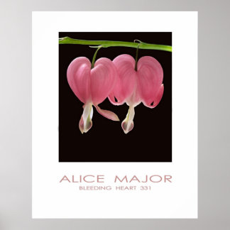 Blödning Hearts 331 Poster