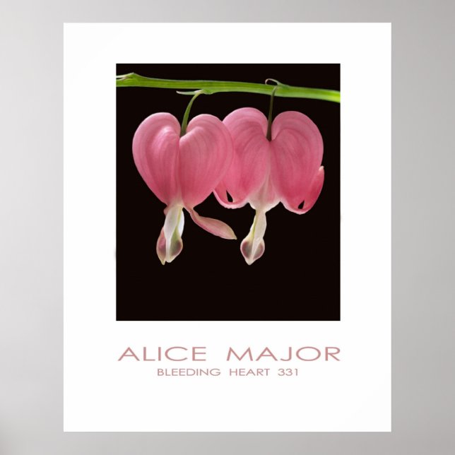 Blödning Hearts 331 Poster (Framsidan)