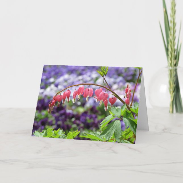 Blödning-hjärta Kort (Framsida)