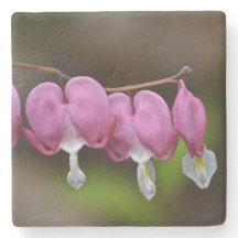 Blödning Hjärtat Blommigt