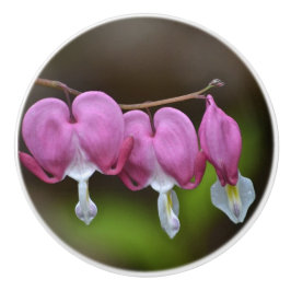 Blödning Hjärtkeramiskt knopp