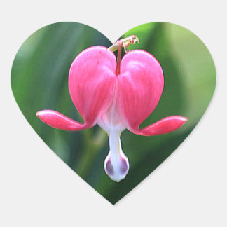 Blödning Hjärtklaffsetiketter Hjärtformat Klistermärke