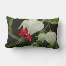 Blödning Hjärtklappning Lumbalfyllnad Lumbarkudde