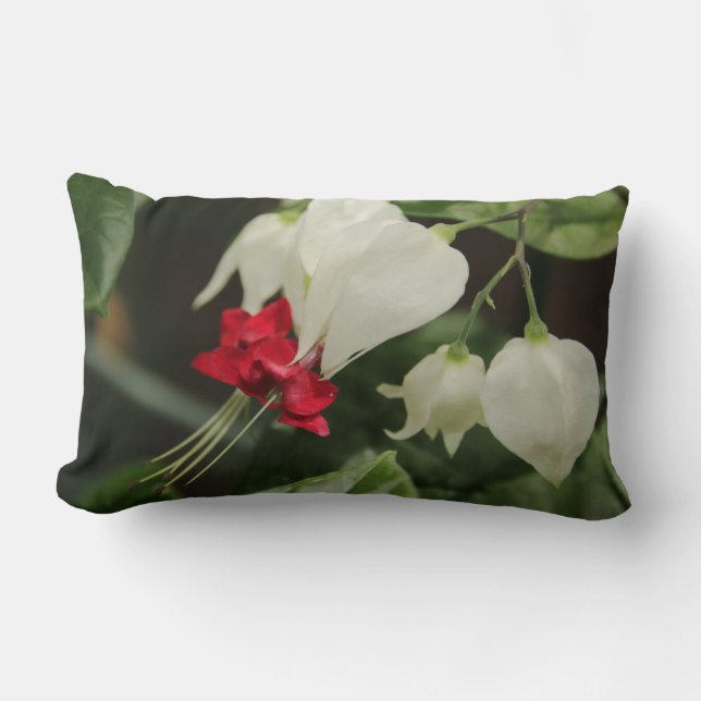 Blödning Hjärtklappning Lumbalfyllnad Lumbarkudde (Framsida)