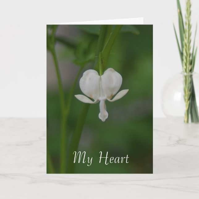 Blödning Hjärtkort Kort (Framsida)