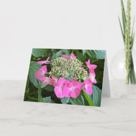 Blödning Hydrangea Blank Note Card Tack Kort
