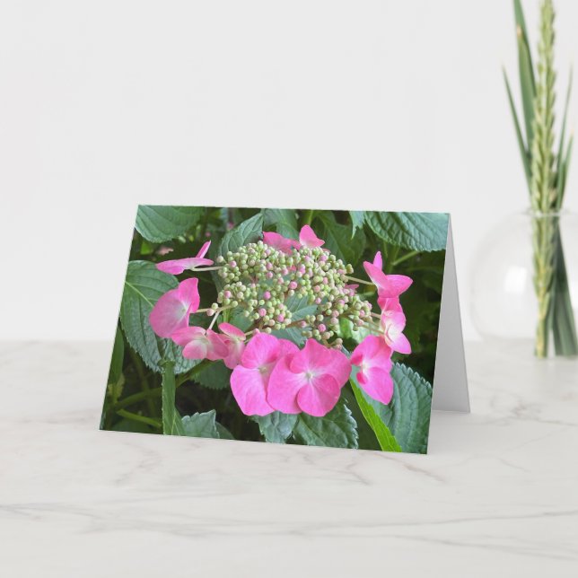 Blödning Hydrangea Blank Note Card Tack Kort (Framsida)