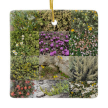 Blodning i havet: Asilomar