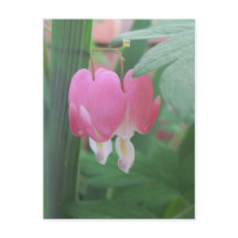 Blödningshjärtor~ två hjärtan som en