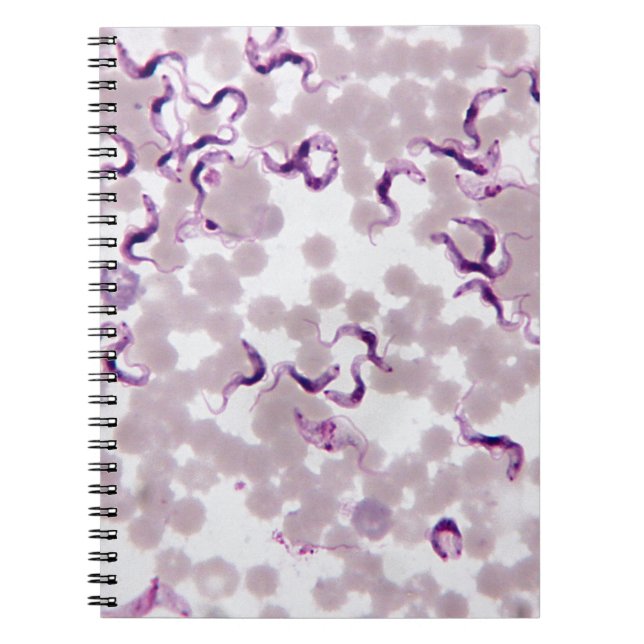 Blodparasit Trypanosoma Anteckningsbok (Framsidan)