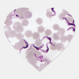 Blodparasit Trypanosoma Hjärtformat Klistermärke