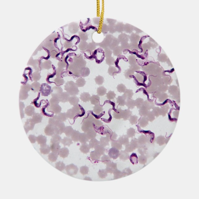 Blodparasit Trypanosoma Julgransprydnad Keramik (Framsidan)