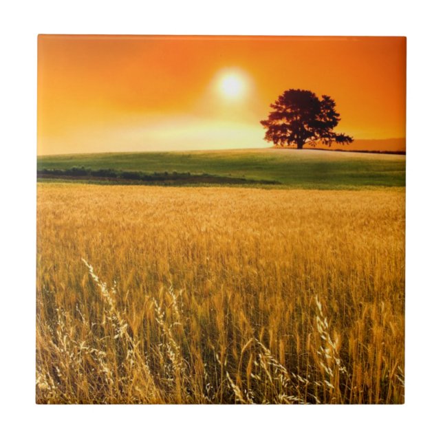 Blodröd solnedgång kakelplatta (Framsidan)