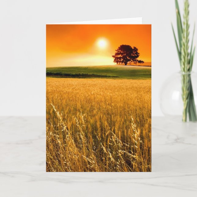 Blodröd solnedgång kort (Framsida)