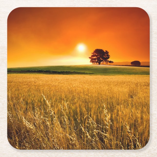 Blodröd solnedgång underlägg papper kvadrat (Framsidan)