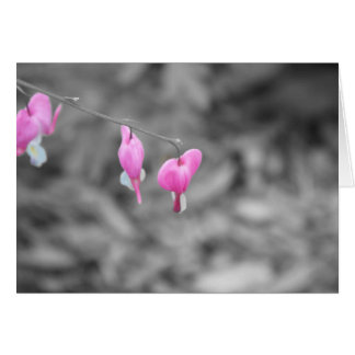 Blöds hjärtor Door County Hälsningskort