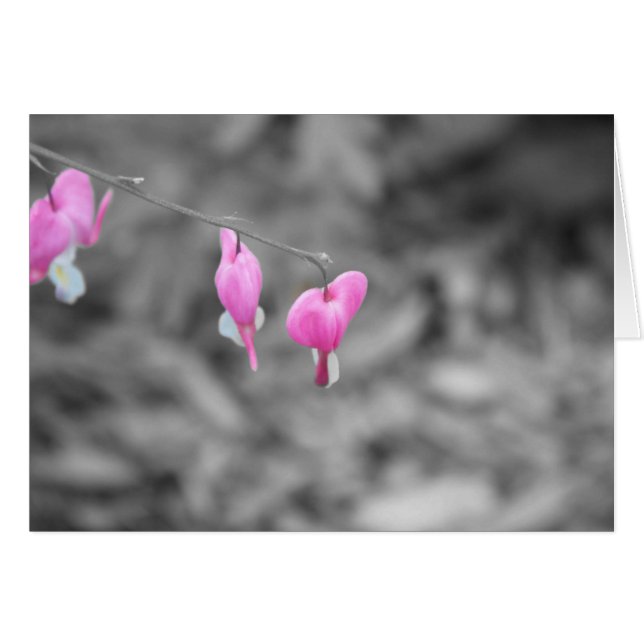 Blöds hjärtor Door County Hälsningskort (Framsidan Horizontal)