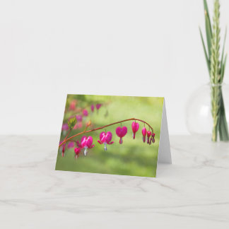 Blöds hjärtor kort