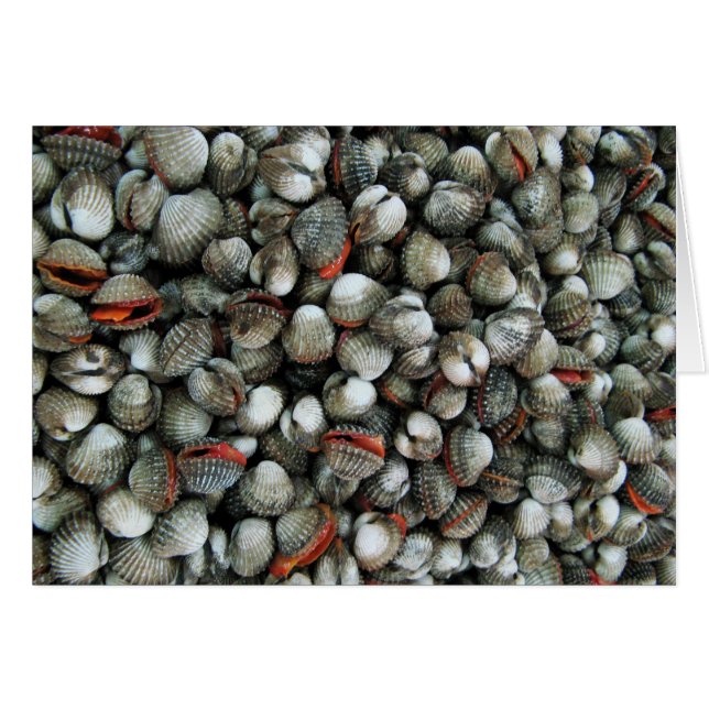 Blodspärr - Snäckor Hälsningskort (Framsidan Horizontal)
