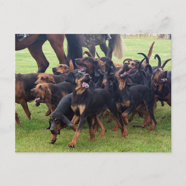 blodstilla vykort (Framsida)