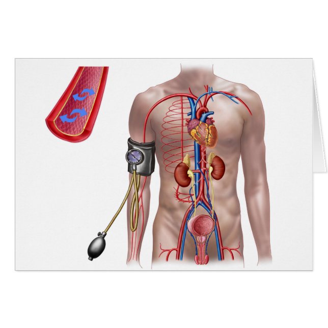 Blodtryck och cirkulationssystem hälsningskort (Framsidan Horizontal)