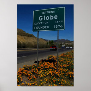 Blodvallningar i orange Arizona Poster