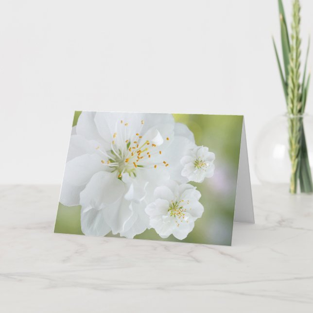 Blödvita blommor kort (Framsida)