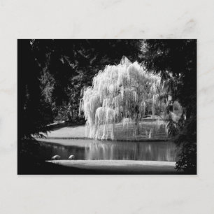 Bloedel Reserve Vykort