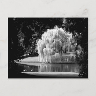 Bloedel Reserve Vykort